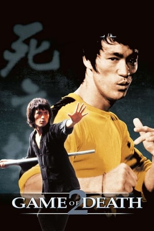 Game of Death II (1981) Dual Audio Hindi Movie 720p BluRay - 1.1GB