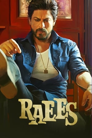 Raees (2017) 400MB Full Movie 480p DVDRip Download