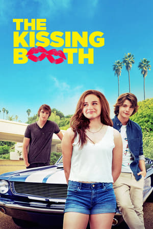 The Kissing Booth 2018 Hindi Dual Audio 720p Web-DL [1.1GB]